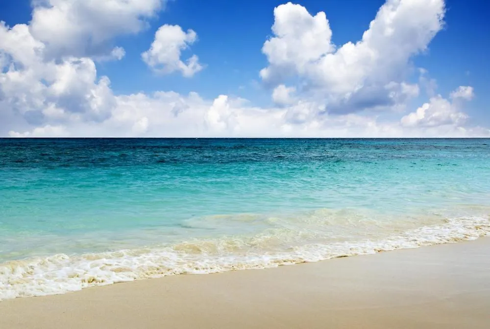 Jupiter Saadiyat Beach New York Abu Dhabi University Studio Apartment